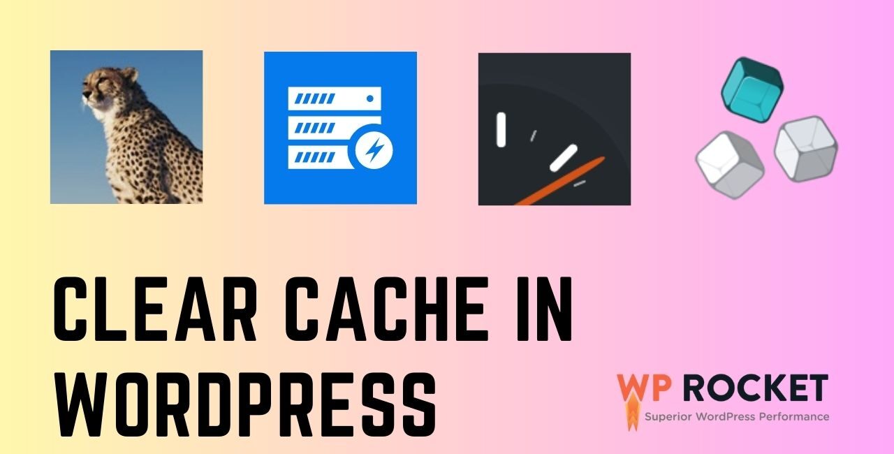 Clear Cache in WordPress