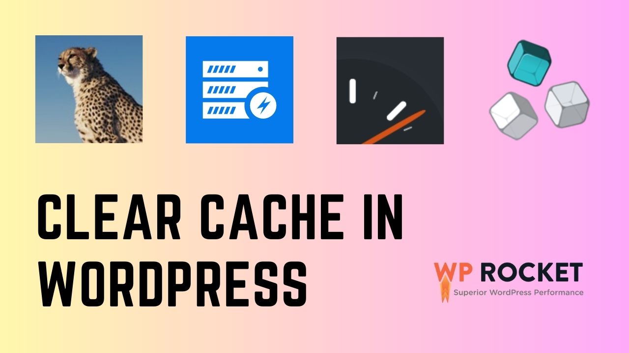 Clear Cache in WordPress